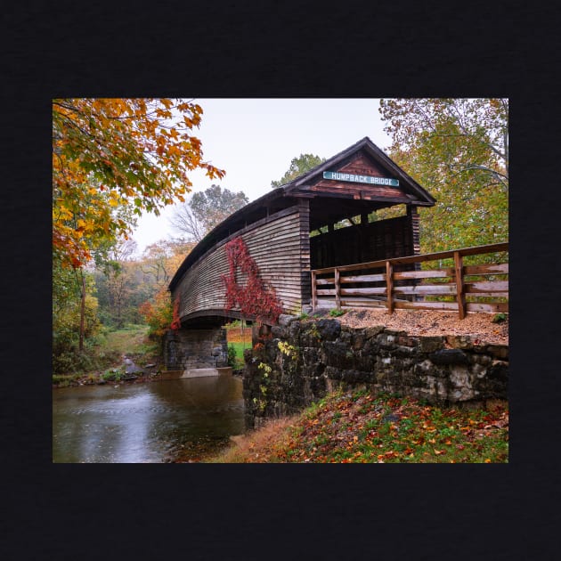 Humpback Covered Bridge Virginia by mcdonojj